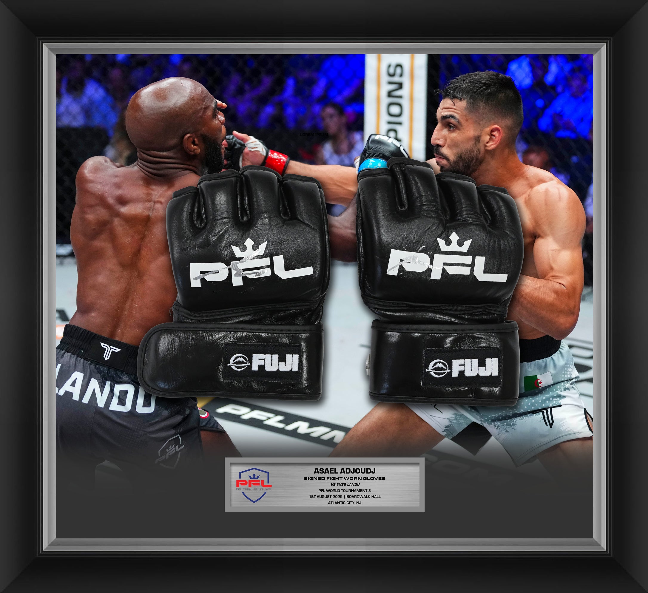 Asael Adjoudj Signed Fight Worn Gloves