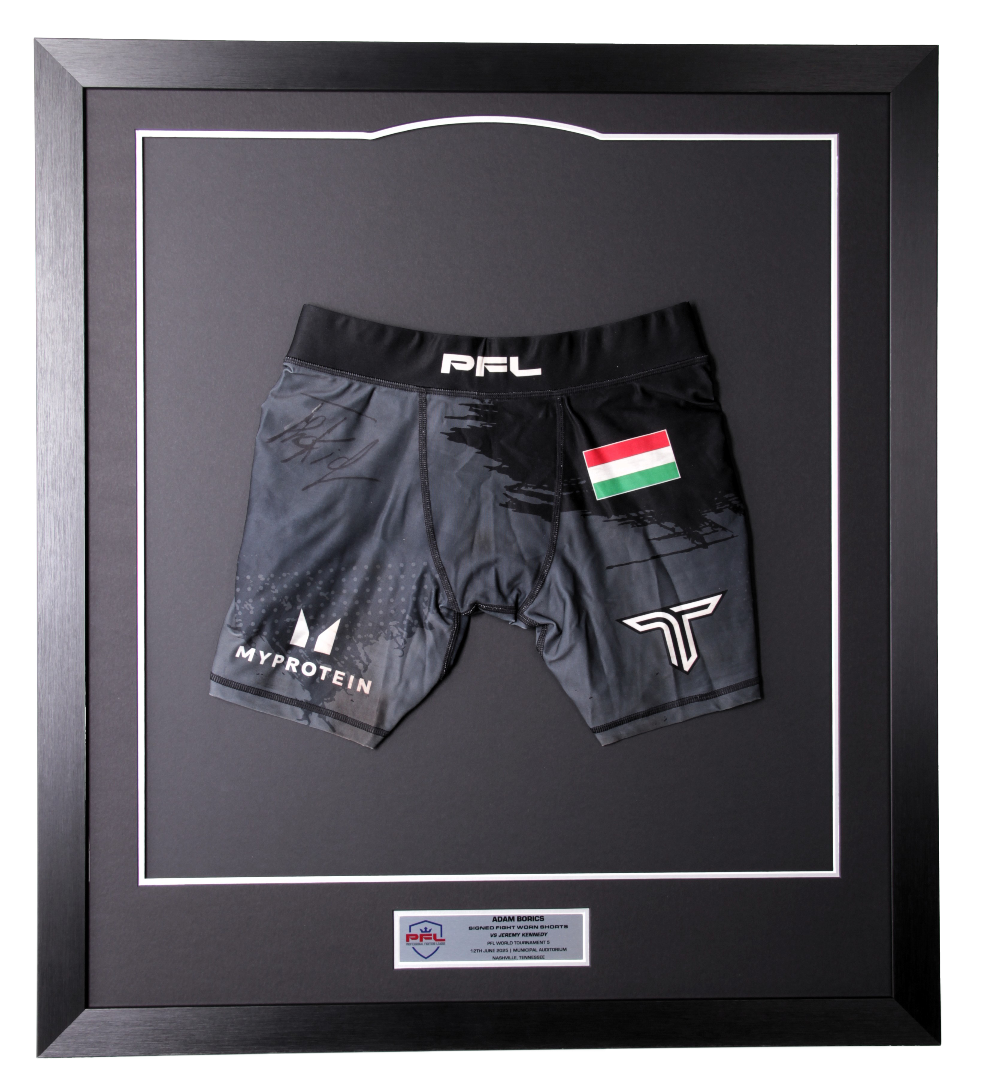 Adam Borics Signed Fight Worn Shorts