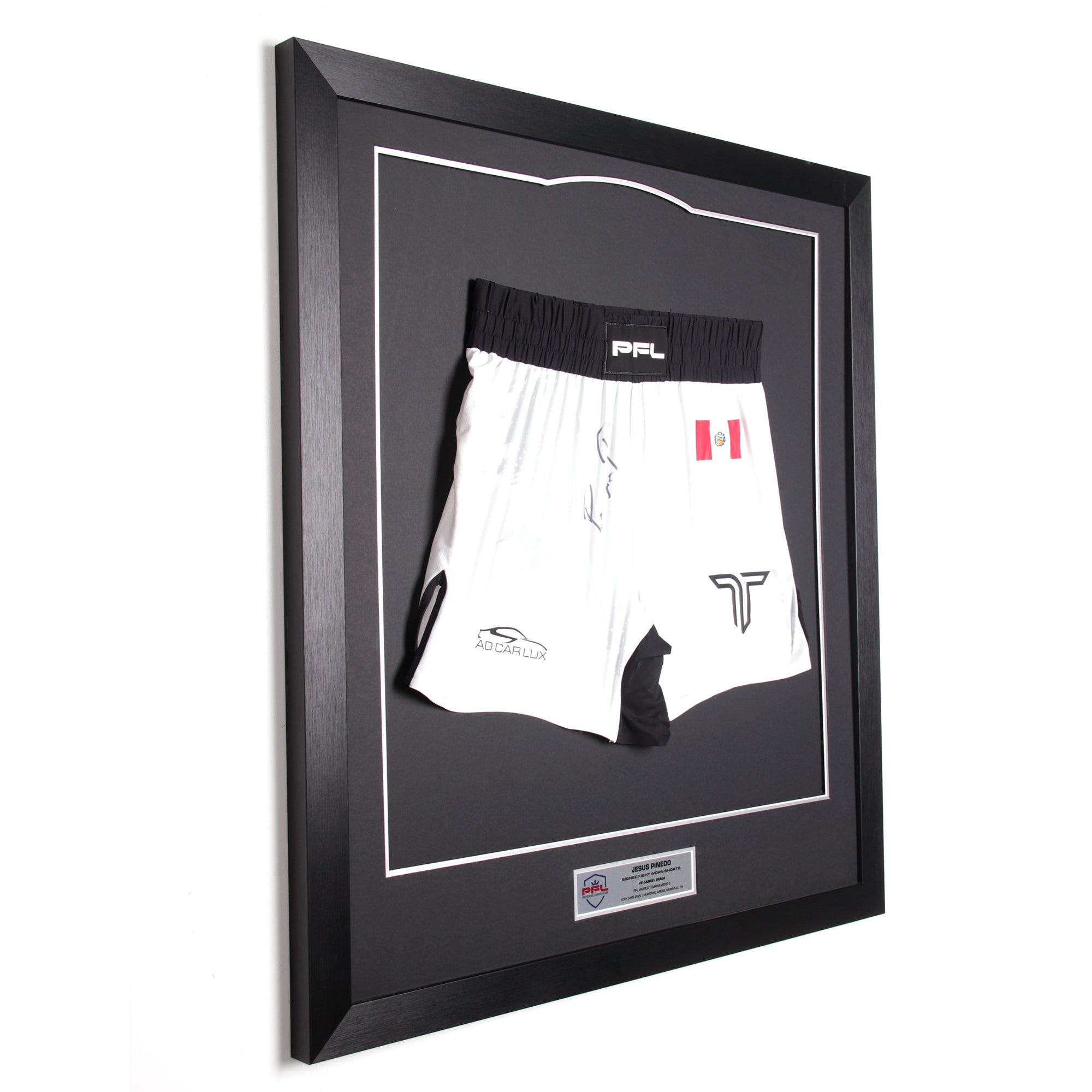 Jesus Pinedo Signed Fight Worn Shorts