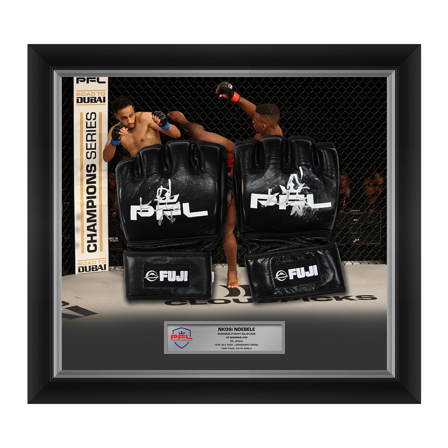 Nkosi Ndebele Signed Fight Worn Gloves