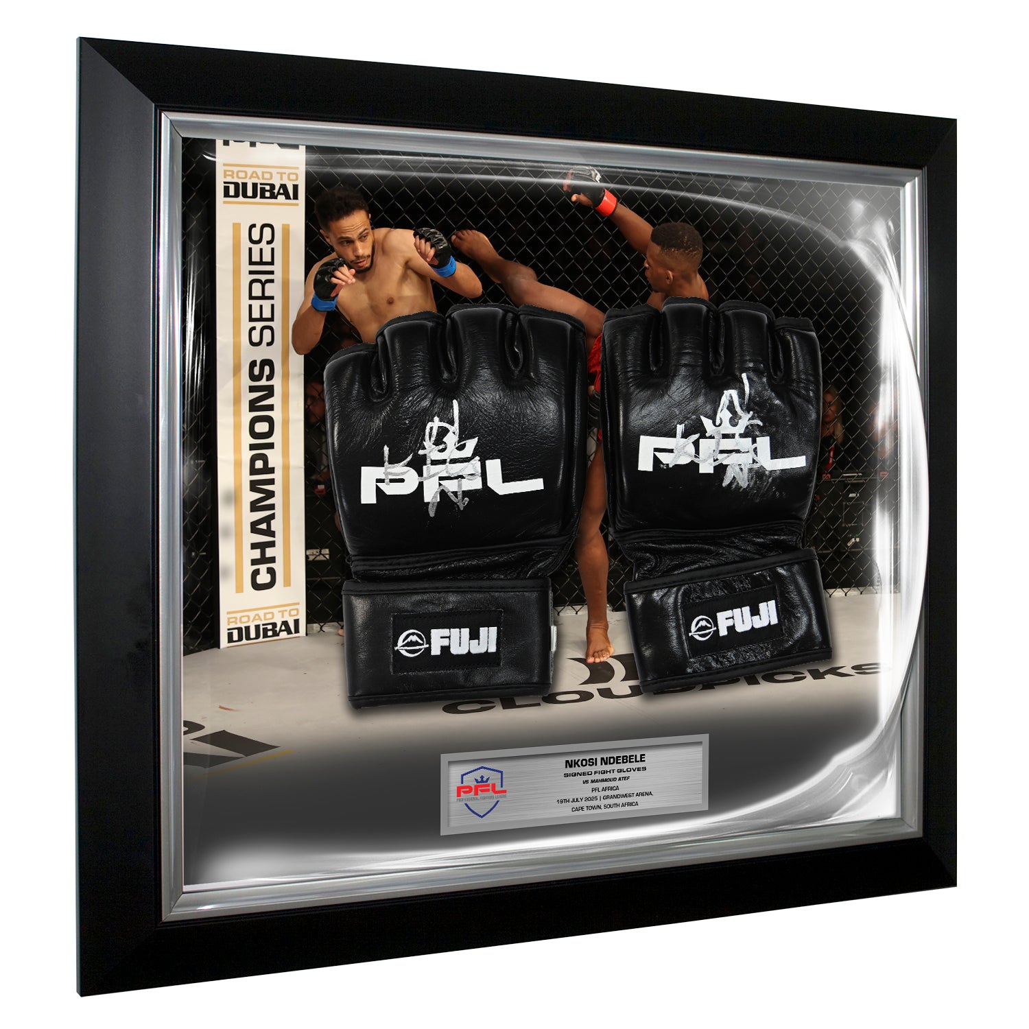 Nkosi Ndebele Signed Fight Worn Gloves