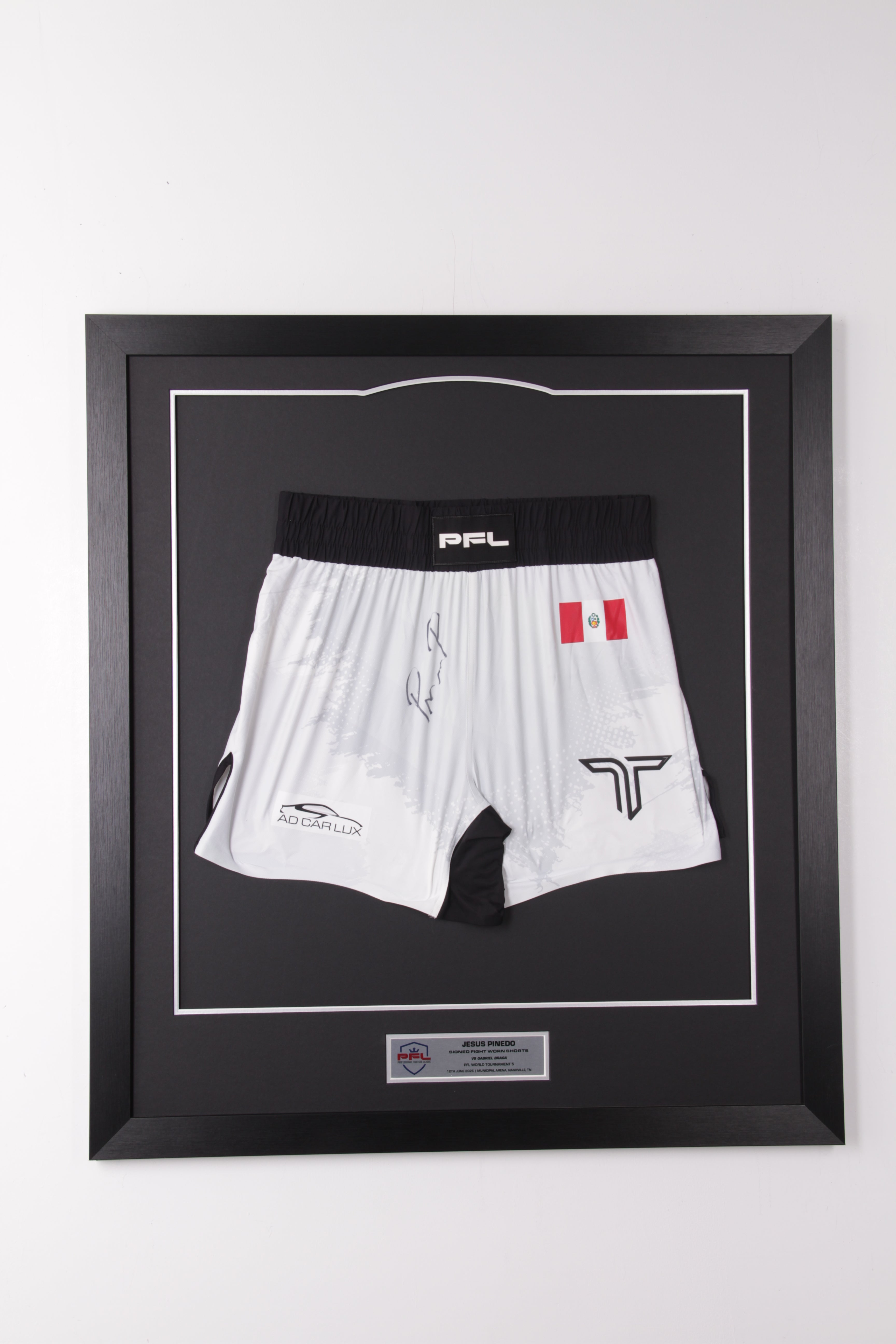 Jesus Pinedo Signed Fight Worn Shorts