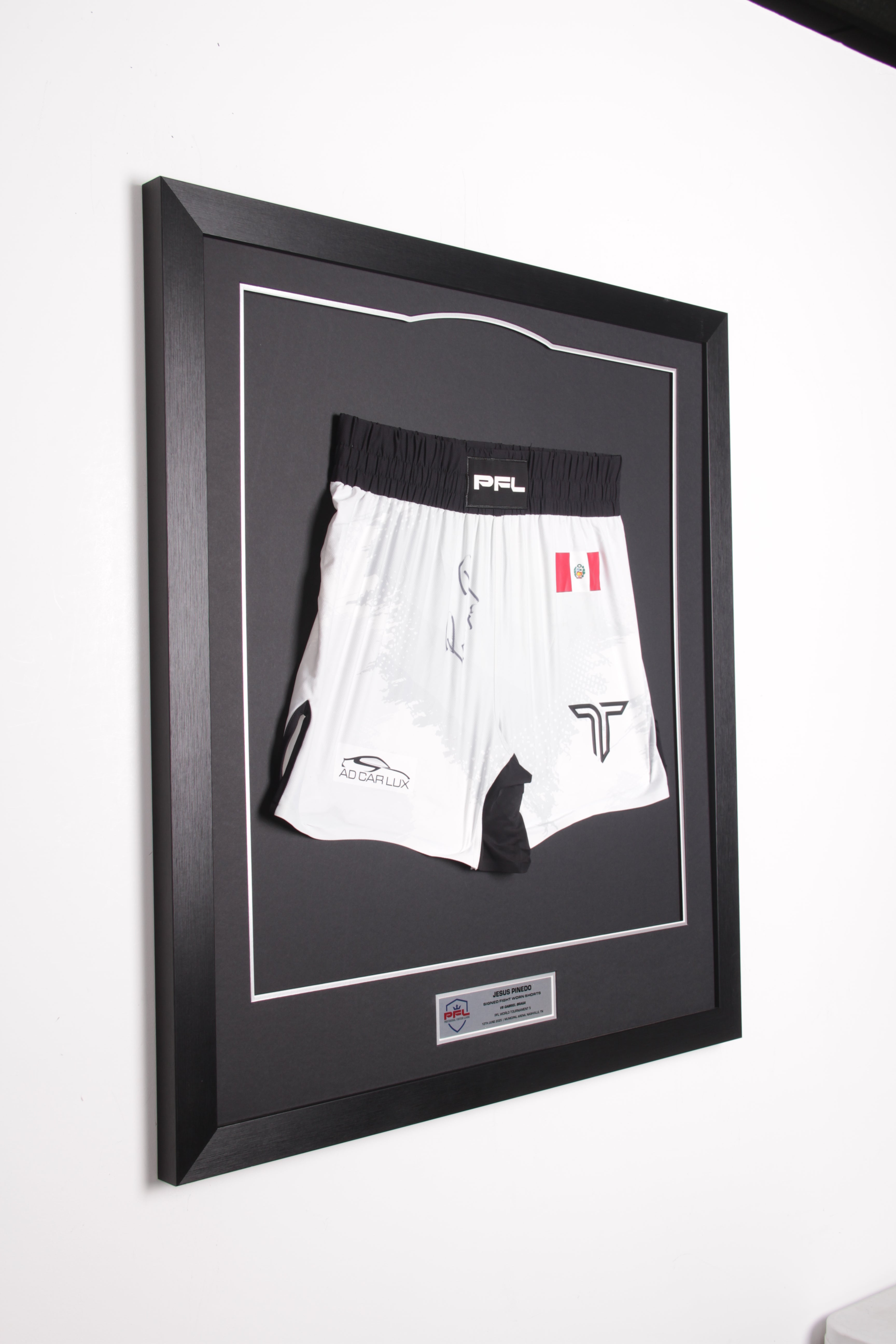 Jesus Pinedo Signed Fight Worn Shorts